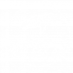 Cropped cropped cropped shell soul high resolution logo 1 3 edited no background